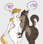  ! &lt;3 anthro artbyyellowdog balls barbed_penis big_breasts blue_sclera blush breasts brown_fur cat feline female fur grope humanoid_penis hybrid_penis licking licking_lips male male/female mammal orange_fur orientation_play penis pink_nose questionable_consent simple_background standing stated_heterosexuality stated_homosexuality tongue tongue_out whiskers white_fur yellow_sclera 