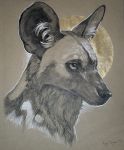  2018 african_wild_dog ambiguous_gender canine feral headshot_portrait mammal portrait rhyu solo traditional_media_(artwork) 