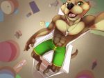  5_fingers abs anthro beach biceps black_nose brown_fur claws clothing detailed_backround fur green_eyes hair male mammal muscular muscular_male mustelid neckwear otter pecs seaside selfie shorts sitting swimsuit teeth toe_claws tsebresos unknown_artist whiskers whistle 