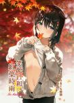  1girl ahoge autumn_leaves black_hair blue_eyes blush braid breasts cardigan casual cover cover_page doujin_cover english_text hair_flaps hair_ornament hair_over_shoulder kantai_collection leaf lifted_by_self looking_at_viewer maple_leaf navel nipples no_bra one_breast_out open_cardigan open_clothes shigure_(kantai_collection) shirt_lift small_breasts smile sweater translation_request umakuchi_shouyu 