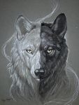 2018 canine feral headshot_portrait looking_at_viewer mammal portrait rhyu simple_background solo traditional_media_(artwork) wolf 
