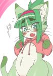  1girl flat_chested furry glasses green_eyes green_hair midori_(nakagami_takashi) nakagami_takashi short_hair solo sweater 