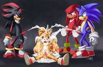  knuckles_the_echidna purplekecleon shadow_the_hedgehog sonic_team sonic_the_hedgehog tails 
