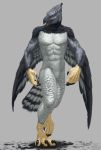  5_fingers anthro avian beak bird black_beak falcon feathers grey_feathers male multicolored_feathers open_mouth signature simple_background sunshtein talons two_tone_feathers wings 