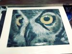 avian beak bird detailed invalid_tag owl ragincajun shiny traditional_media_(artwork) 