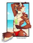  2017 5_figners anthro brown_hair brown_nose canine clothing detailed_background digital_media_(artwork) fox green_eyes hair holding_object inner_ear_fluff looking_at_viewer male mammal rayley red_fox smile solo speedo swimsuit 