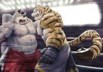  2018 abs anthro clenched_teeth clothing duo feline fight fighting_ring fur gloves hair hair_grab hi_res inner_ear_fluff male mammal mti777 muscular muscular_male navel nipples open_mouth pecs shorts striped_fur stripes sweat teeth tiger 