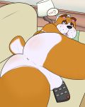  2018 animal_crossing anthro anus backsack balls black_eyes black_nose blep blush booker_(animal_crossing) brown_fur bulldog bunnybara butt canine controller digital_media_(artwork) dog fur half-closed_eyes looking_at_viewer lying male mammal nintendo nude on_couch perineum presenting presenting_hindquarters short_tail slightly_chubby solo speech_bubble tongue tongue_out video_games white_fur 