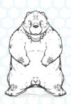  2018 balls bear feral flaccid goujuyu male mammal overweight overweight_male penis polar_bear simple_background solo video_games 