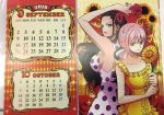 2girls breasts calendar highres large_breasts long_hair multiple_girls one_piece rebecca_(one_piece) smile viola_(one_piece) 
