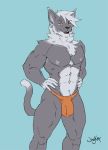  2018 abs anthro bulge cat chest_tuft clothed clothing feline jaykat male mammal muscular muscular_male neck_tuft nipples partially_clothed pecs simple_background solo speedo swimsuit tuft 