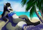  2017 4_toes 5_fingers anthro aoree beach big_breasts black_fur black_hair black_nose blue_bra blue_eyes bottomless bra breasts canine chest_tuft clothed clothing detailed_background dipstick_tail female fluffy fluffy_tail forevix_rolls fox fur grey_fur grey_tail hair inner_ear_fluff long_hair long_tail lying mammal multicolored_fur multicolored_tail navel palm_tree seaside smile solo straight_hair toes tree tuft two_tone_fur underwear white_fur white_tail 