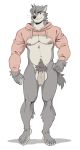  analon_(artist) anthro balls bottomless canine claws clothed clothing fangs fur grey_fur hi_res hoodie humanoid_penis looking_at_viewer male mammal meme musclegut muscular muscular_male nipples partially_clothed penis pubes simple_background smile solo twitter_hoodie uncut white_background wolf wolfalon_(analon) 
