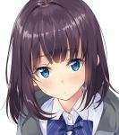  1girl :/ blue_bow blue_eyes blue_neckwear blush bow bowtie brown_hair closed_mouth collared_shirt commentary_request eyebrows_visible_through_hair looking_at_viewer medium_hair original school_uniform shiny shiny_hair shirt simple_background solo unasaka_ryou white_shirt wing_collar 