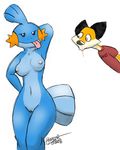  mudkip pokemon portzebie tagme 