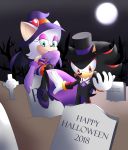  bat cemetery chocolatechippi full_moon halloween hedgehog holidays magic_user mammal moon rouge_the_bat shadow_the_hedgehog sonic_(series) tree vampire witch 