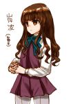  blue_neckwear brown_eyes brown_hair commentary cosplay dress fate/extra fate_(series) kantai_collection kishinami_(kantai_collection) kishinami_(kantai_collection)_(cosplay) kishinami_hakuno_(female) kutouten long_hair long_sleeves namesake pantyhose pleated_dress purple_dress purple_legwear school_uniform seamed_legwear shirt simple_background solo translated white_shirt 