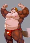  2018 anthro bulge canine clothing dog gogww gohgw male mammal moobs navel nipples overweight overweight_male simple_background solo underwear 