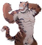  2018 abs anthro biceps cuson digital_media_(artwork) feline fur hair hi_res male mammal muscular muscular_male pecs piercing scar tiger 