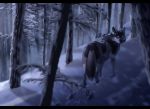 2018 blue_eyes canine contusio digital_media_(artwork) feral forest fur male mammal rakan scar snow tree winter wolf 