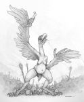  2018 anthro avian beast_(disambiguation) bird bone clothing ecmajor female harpy loincloth skull talons traditional_media_(artwork) 