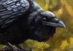  2018 ambiguous_gender avian beak bird black_beak black_feathers brown_eyes corvid crow digital_media_(artwork) digital_painting_(artwork) feathers feral kenket solo standing 