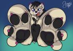 anthro barefoot canid canine claws feet foot_focus hi_res licking looking_at_viewer male mammal pawpads paws seductive self_lick soarinarts soles solo toe_claws toes tongue tongue_out whiskers wrinkled_feet wrinkled_soles