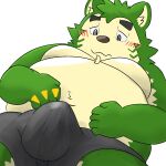 anthro belly blush bulge canid canine canis clothed clothing domestic_dog embarrassed erection erection_under_clothing eyebrows fur green_body green_fur hi_res lifewonders live_a_hero male mammal mokdai moobs navel overweight panthera7uncia simple_background solo thick_eyebrows underwear white_background