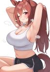  1girl armpits daiwa_scarlet_(umamusume) highres tagme umamusume 