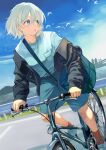  :o bicycle black_jacket blue_eyes blue_shirt blue_shorts casual denim denim_jacket grey_hair highres idolmaster idolmaster_shiny_colors jacket jacket_partially_removed looking_to_the_side otsudou outdoors red_socks riding riding_bicycle serizawa_asahi shirt shoes short_hair shorts simple_bird sneakers socks 