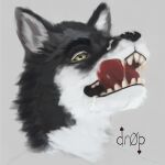 ambiguous_gender anthro black_body black_fur bodily_fluids canid canine canis cum cum_in_mouth cum_inside cum_on_face cum_on_tongue domestic_dog dr0p fur genital_fluids headshot_portrait hi_res husky licking licking_lips licking_teeth looking_at_viewer male mammal narrowed_eyes nordic_sled_dog portrait seductive sharp_teeth solo solo_focus spitz teeth tongue tongue_out white_body white_fur yellow_eyes