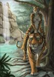 anthro duo felid feline female feral forest hi_res jungle male male/female mammal nipples pantherine phoeline plant romantic stripes stroll tiger tigress_(disambiguation) tree walking water waterfall