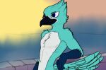 anonymous_artist anthro avian beak bird blue_body blue_eyes falcon falconid humanoid male pose posing_for_picture simple_background solo talon_hands
