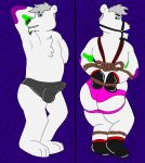  ball_gag bdsm bear bondage bound bulge dakimakura_design fur gag male mammal musclegut pocketthebunny polar_bear rope slightly_chubby solo white_fur zeph 