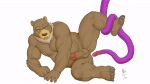 anal animated anthro anus balls bear belly biceps butt erection feet genitals male mammal mane maxima musclegut muscular nipples open_mouth pecs penetration penis penis_tentacles perineum purple_tentacles raised_leg sex simple_background slightly_chubby solo tentacle_penetration tentacle_sex tentacles triceps white_background wide_eyed