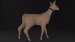 3d_(artwork) animated blender_eevee collar collar_only deer digital_media_(artwork) doriyote female feral juniper_(laserkitten) mammal new_world_deer nude simple_background solo white-tailed_deer