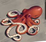  animal_focus ghost_(tama) grey_background octopus original simple_background tentacles 