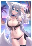  1girl animal_ears arm_up ass_visible_through_thighs bare_shoulders bikini black_bikini blue_collar blue_eyes blue_sky blurry blurry_background breasts cleavage collar collarbone depth_of_field fox_ears fox_girl fox_tail grey_hair grey_jacket groin hair_between_eyes hair_ornament hairclip jacket long_hair long_sleeves medium_breasts navel off_shoulder open_clothes open_jacket original outdoors palm_tree pool puffy_long_sleeves puffy_sleeves shirogane_kasane sky sleeves_past_wrists solo standing sunset surume_aburi swimsuit tail thigh_gap tree very_long_hair water 