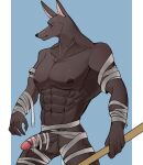 anthro anubian_jackal balls bandage big_penis canid canine canis erection fur genitals hi_res humanoid humanoid_genitalia humanoid_penis jackal league_of_legends male mammal muscular muscular_anthro muscular_male nasus_(lol) nipples nude pecs penis riot_games solo warwickislovely