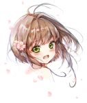  :d absurdres antenna_hair bangs bare_shoulders blush brown_hair cardcaptor_sakura clouble commentary_request eyebrows_visible_through_hair flower green_eyes hair_flower hair_intakes hair_ornament head_tilt highres kinomoto_sakura long_hair looking_at_viewer looking_to_the_side open_mouth petals pink_flower portrait simple_background smile solo upper_teeth white_background 