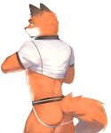 5:6 absurd_res anthro butt canid canine clothing fox fur green_eyes hi_res jockstrap looking_back male mammal multicolored_body multicolored_fur orange_body orange_fur rear_view shirt_up simple_background solo tail two_tone_body two_tone_fur underwear white_body white_fur yuuko891
