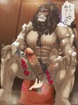 abs anthro armpit_hair balls biceps bodily_fluids body_hair chest_hair felid fu_ren_chi genitals hi_res lifewonders lion live_a_hero male mammal mane muscular muscular_anthro muscular_male pantherine pecs penis pubes scar scars_all_over sweat toshu vein veiny_penis
