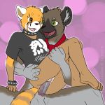  2018 5_fingers aggressive_retsuko anthro anthro_on_anthro balls black_nose bottomless bracelet brown_fur chair_position clothed clothed_sex clothing collar condom duo eddiew female from_behind_position fur green_eyes grey_fur haida happy happy_sex humanoid_hands hyena interspecies jewelry leg_grab male male/female male_penetrating mammal necktie one_eye_closed open_mouth open_smile penetration penis pussy pussy_juice red_panda retsuko safe_sex sanrio sex shirt smile spiked_bracelet spiked_collar spikes t-shirt vaginal vaginal_penetration wearing_condom 