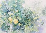  flower grass leaf light original painting_(medium) plant plant_focus rose still_life sunlight traditional_media vines watercolor_(medium) yellow_flower yellow_rose yu_grassbird 