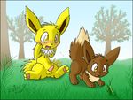  eevee jolteon pokemon route9 tagme 