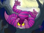  cat cheshire feline mammal paws smile thefurryking1 