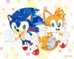  2boys animal_ears blue_eyes blue_hair brown_hair copyright_name gloves green_eyes kikuchi_milo long_hair looking_at_viewer multiple_boys no_humans shoes short_hair simple_background sonic_(series) sonic_the_hedgehog tail tails_(sonic) white_gloves 