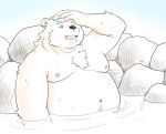  2016 anthro bathing bear fur humanoid_hands male mammal moobs navel nipples overweight overweight_male solo tiger_cub water white_fur 