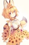  animal_ears animal_ears_(artist) kemono_friends serval tail 