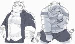  2017 anthro clothing feline humanoid_hands male mammal pants shirt shorts simple_background slightly_chubby solo sv_grart tiger white_background 